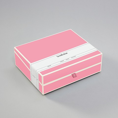 Document Box A4 Flamingo